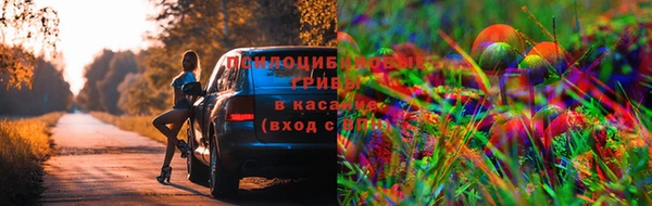 первитин Волоколамск