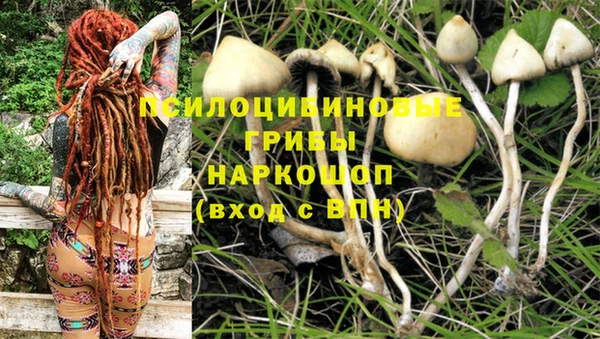 первитин Волоколамск